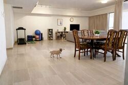 Yong An Park (D9), Condominium #546661941